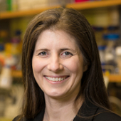 Two Faculty Inducted into the AIMBE College of Fellows